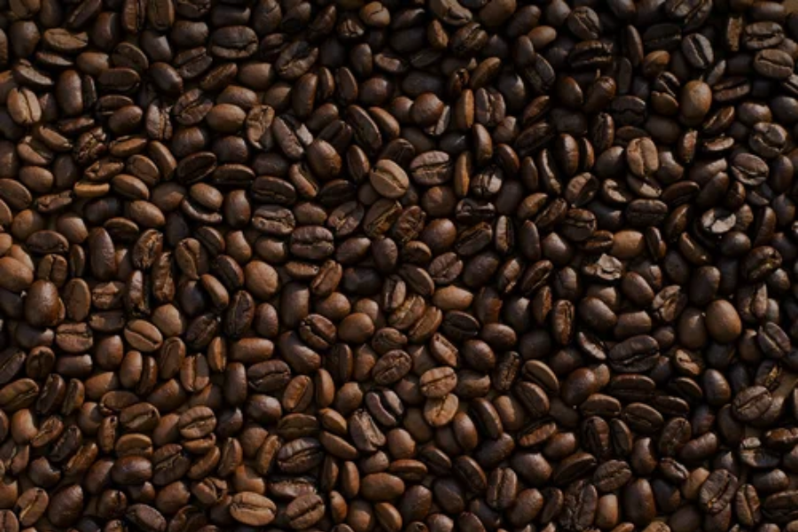 Aruba Coffee Bean News: Discovering The Island’s Flourishing Coffee Scene